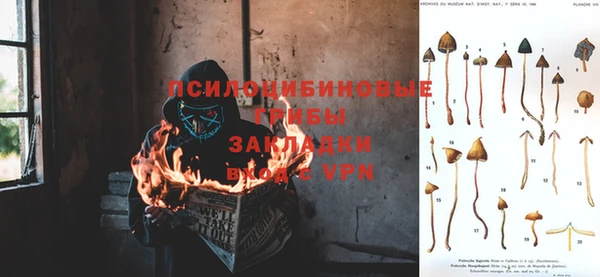 винт Абаза