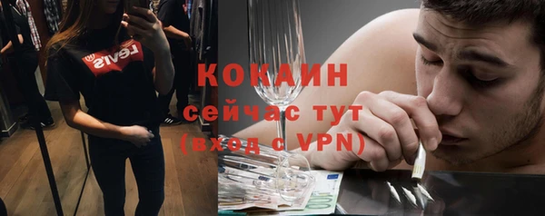 винт Абаза