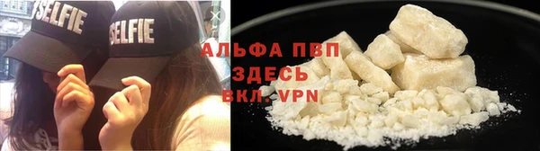 винт Абаза