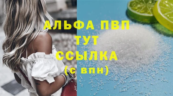 винт Абаза