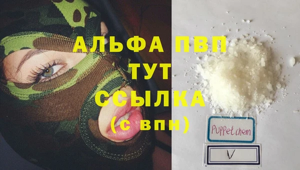 винт Абаза