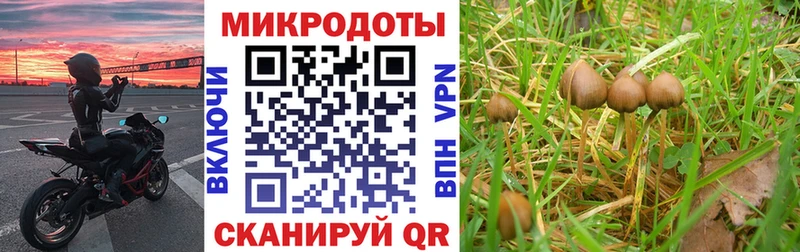 сколько стоит Инта Галлюциногенные грибы мицелий